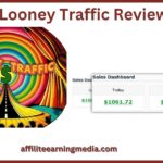 Looney Traffic Review