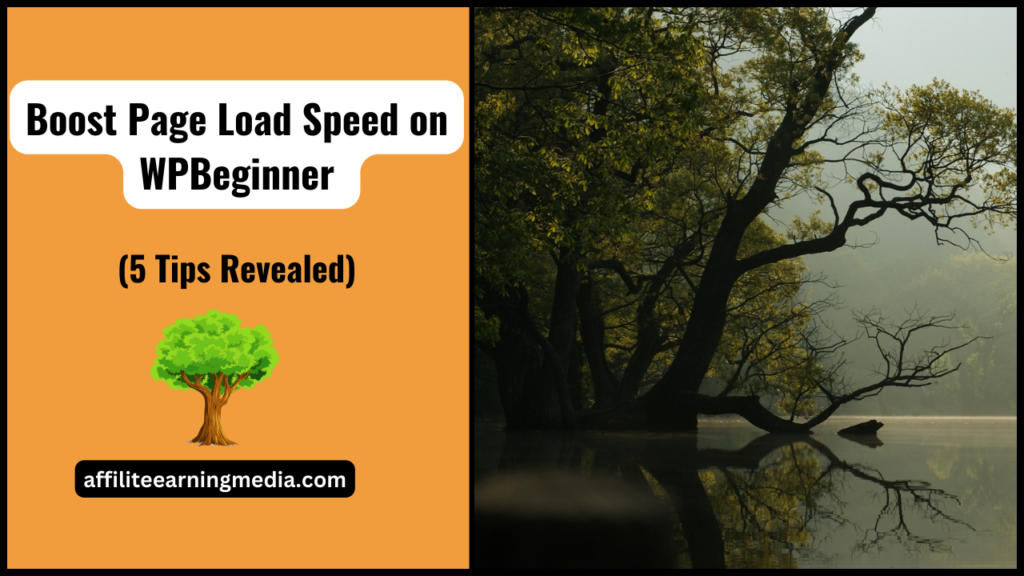 Boost Page Load Speed on WPBeginner