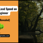 Boost Page Load Speed on WPBeginner