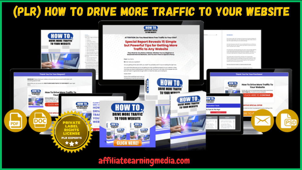 (PLR) How To Drive More Traffic To Your Website